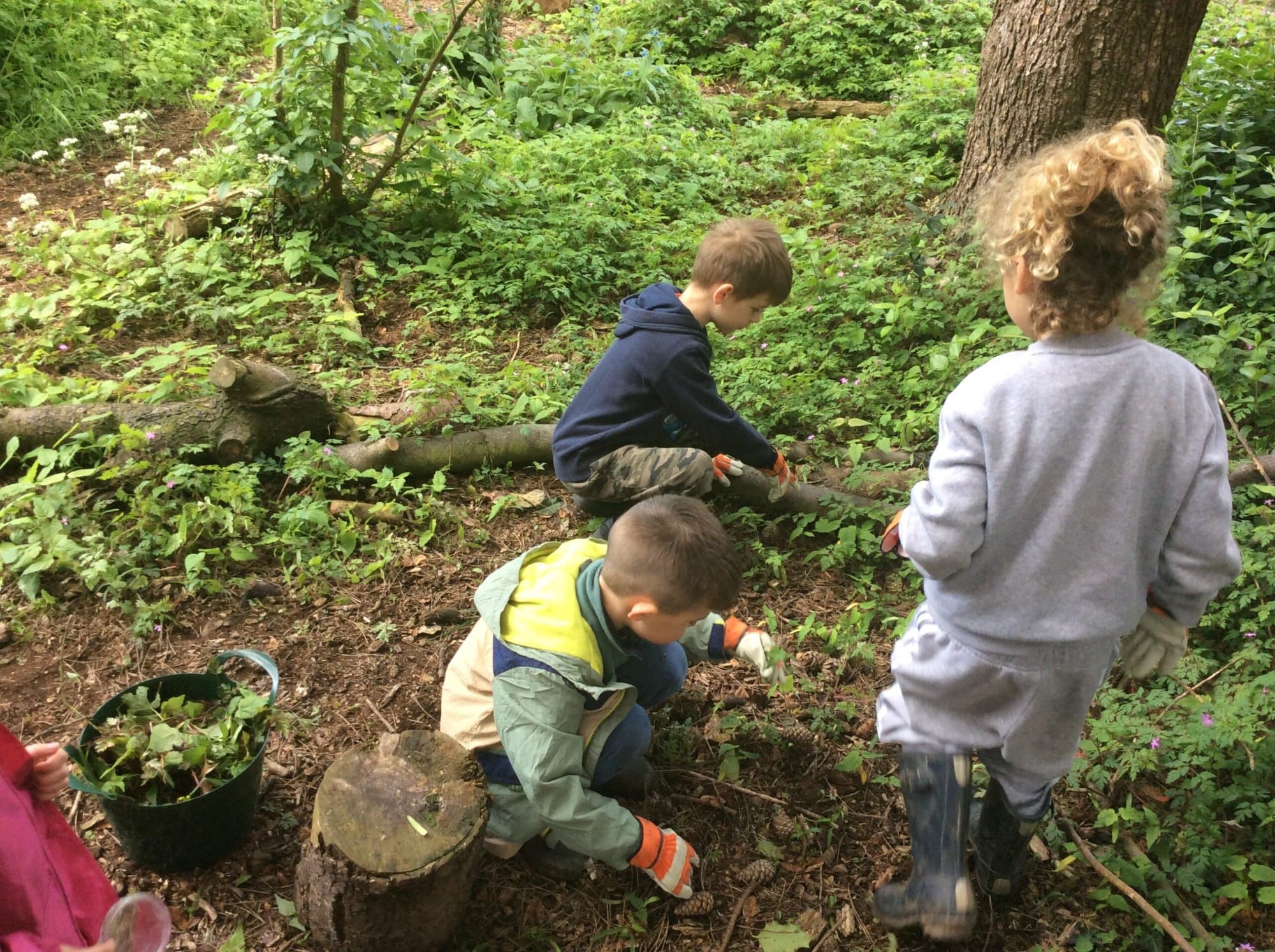 Children digging and planting in the school grounds