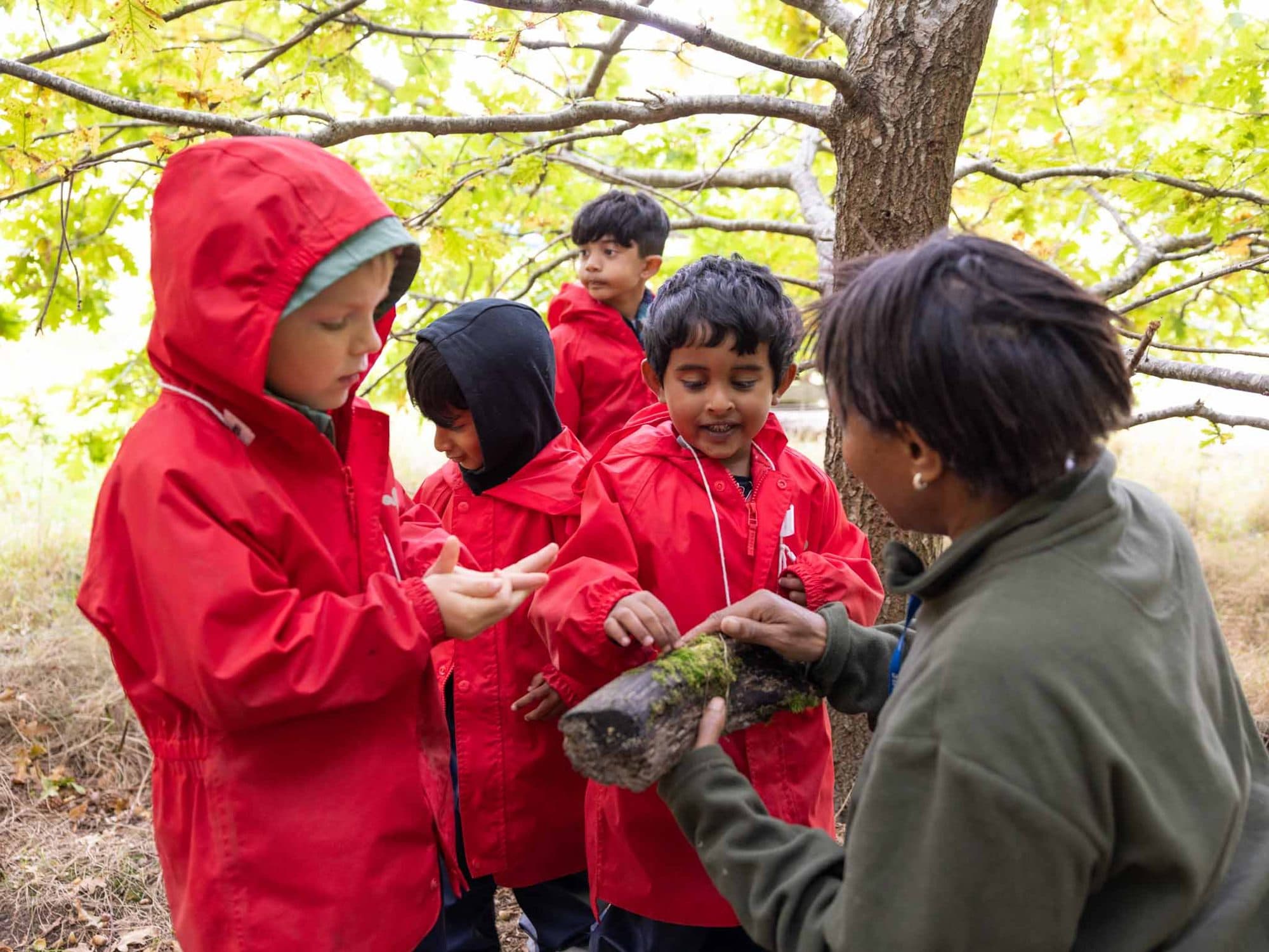 Young children in red coats exploring a mossy log with a teacher under the trees